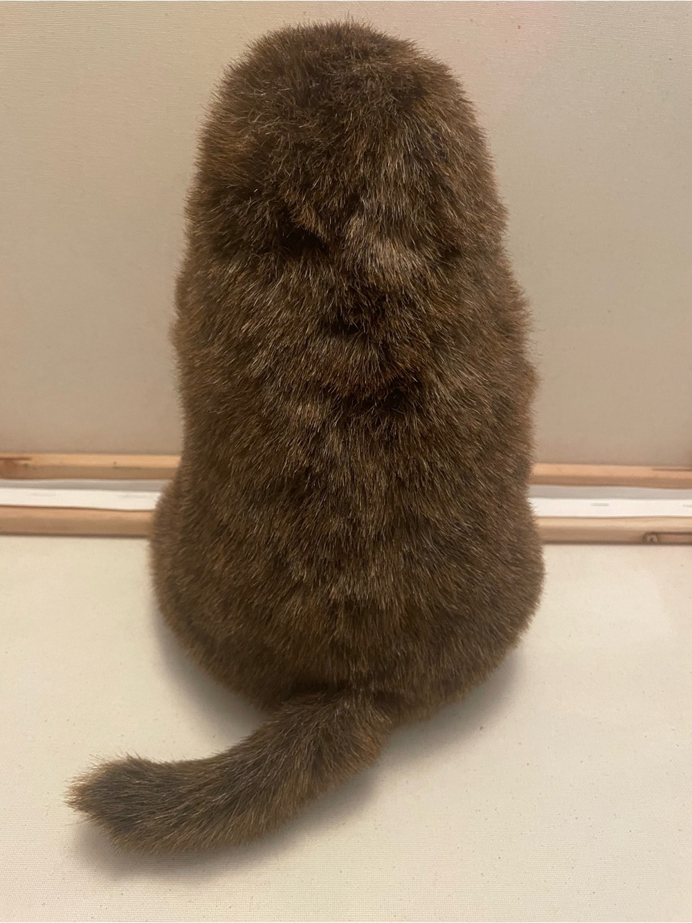 Chuckwood The Woodchuck Retired Douglas Plush stuffed animal brown realistic - Picture 4 of 6
